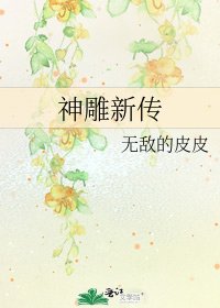 神雕新传